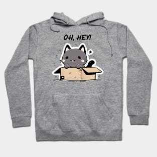 Oh Hey, Little Cat! Hoodie